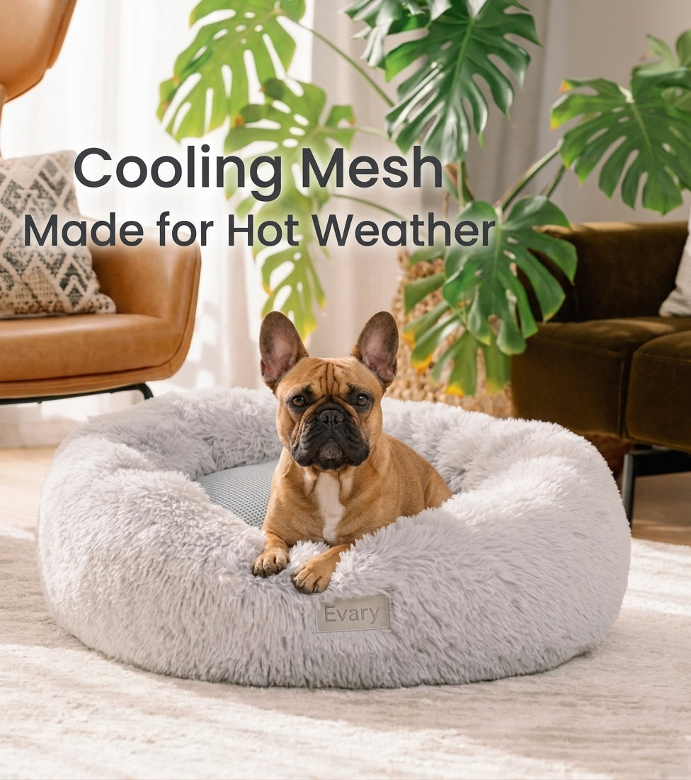 SnugHaven- Calming Orthapedic Pet Bed