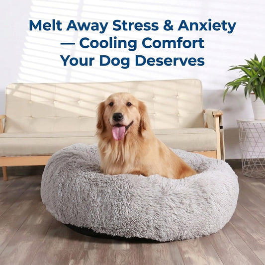 SnugHaven- Calming Orthapedic Pet Bed