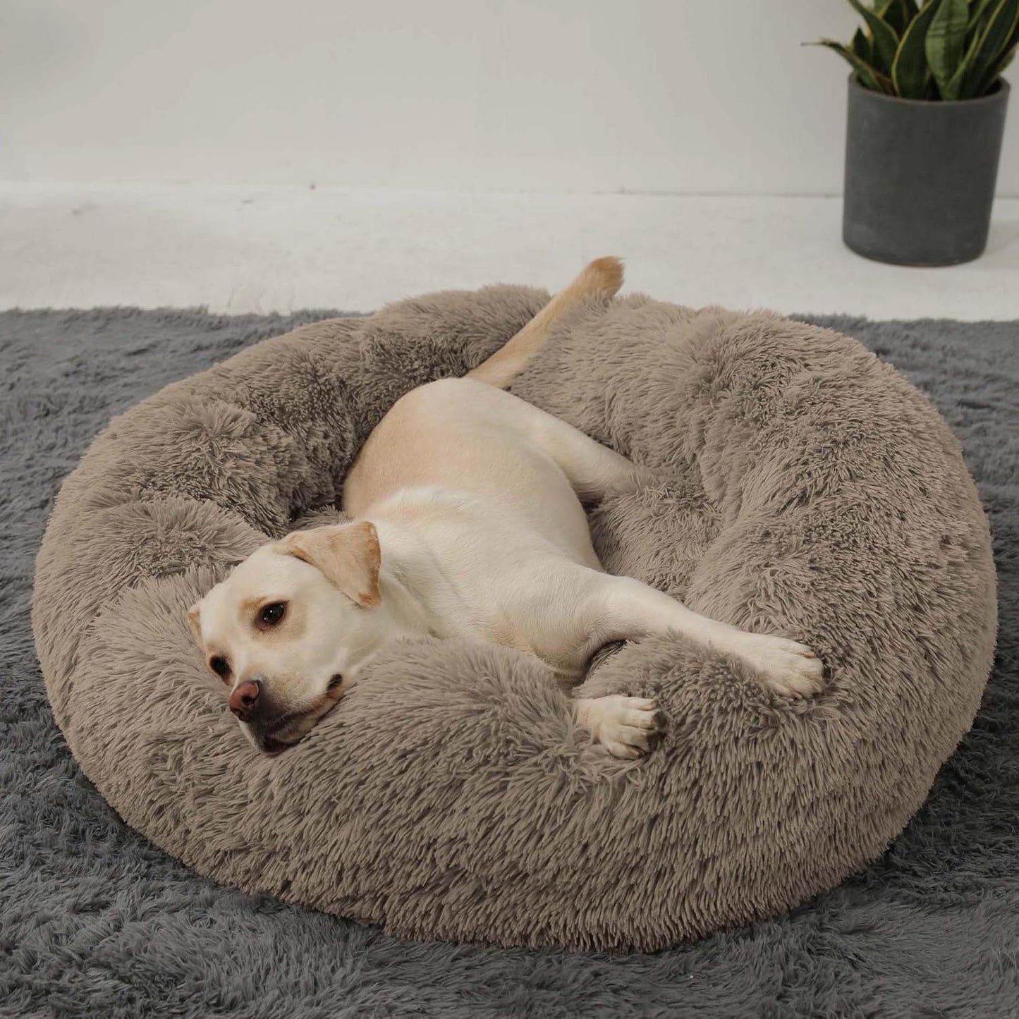 Calming Donut Cuddler Dog Bed, round Fluffy Pet Bed for Large Dogs,Washable, Large, Gray, 30''